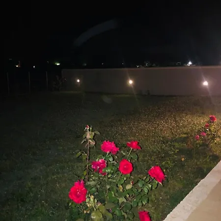 Marietta Case de vacanță